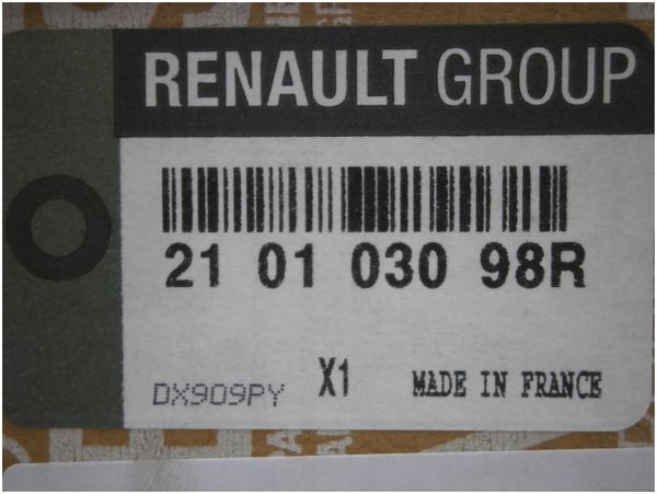 Kühlmittelpumpe Original Renault Trafic Master III Espace IV 2.0DCI 210103098R
